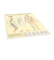 DIN A4 - Meridiane & DORNmethode - DE 